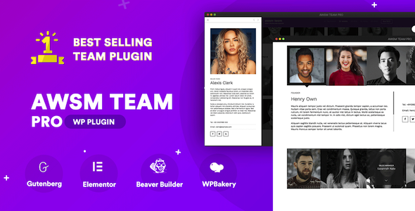 Download Free The Team Pro – Team Showcase WordPress Plugin