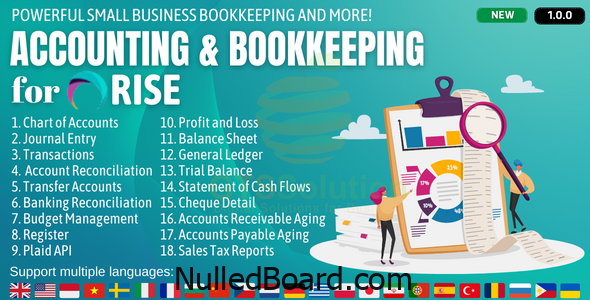 Download Free Accounting and Bookkeeping plugin for RISE CRM Nulled