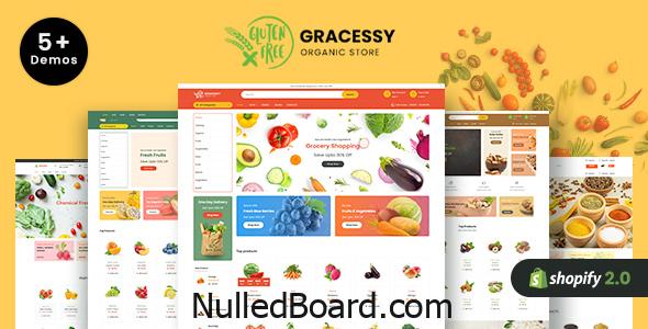 Download Free Gracessy | Grocery Store Shopify Theme Nulled