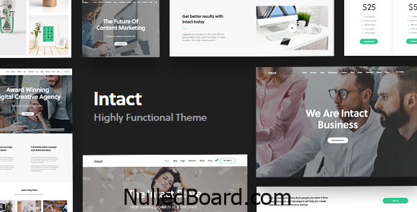 Download Free Intact – Multi-Purpose WordPress Theme Nulled